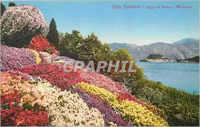Villa Carlotta - Lago di Como - Nel parco