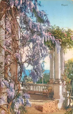 Jardim em Capri — vista do mar — Brunner & C., Como, n° 702-6