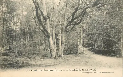 Floresta de Fontainebleau — O Cruzeiro do Ninho da Águia — Fototipo L. MENARD, Fontainebleau