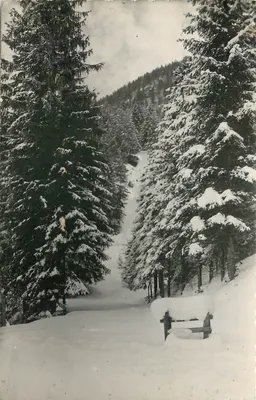 Lajoux — Floresta sob a neve — Les Éditions de la B.L. Lagnieu