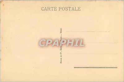 Cabeça de idoso — Albrecht Dürer — Braun & Cie, Paris, n° 70366 — Verso