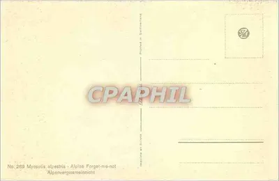 Myosotis alpestris — Myosotis alpino — Número 2859 — Verso