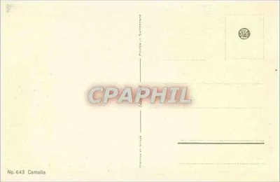 Duas rosas vermelhas — Camélia — No. 643 — Verso