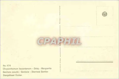 Flores selvagens — Chrysanthemum leucantenum, Gentiana acaulis — Impressa na Suíça, n° 676 — Verso