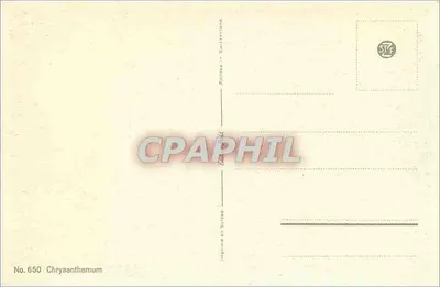 Crismânteos — buquê colorido — n.º 650 — Verso