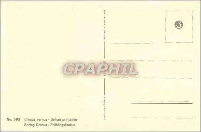 क्रोकस वर्नस — वसंत के फूल — स्विटजरलैंड में मुद्रित, संख्या 693 — पीछे