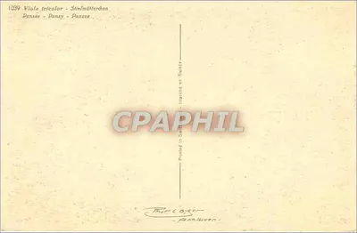 Pensje — Viola tricolor — Thor & Cie, Genewa, nr 1039 — Rewers