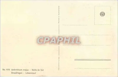 Antirrhinum majus — Muflle de lion — wydruk w Szwajcarii, n° 556 — Rewers