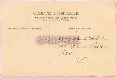 Flores de cravos — ilustração — editor desconhecido, n° 298 — Verso