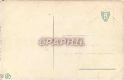 Białe narcyсы — ilustracja botaniczna — wydawca nieznany, numer serii nie widoczny — Rewers