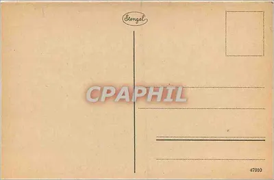 Köln a. Rh. - Część w Flora — Stengel, nr 47910 — Rewers
