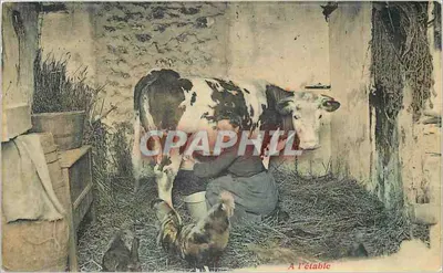 Bilhete postal antigo A l'Etable Vache