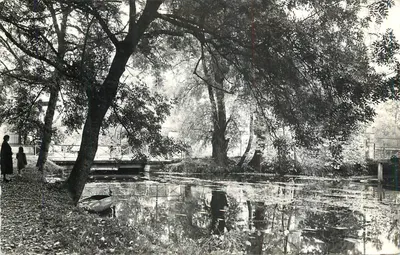 As margens da Essonne — Malessherbes (Loiret) — Edição das Rampas