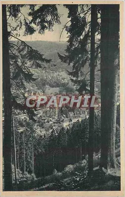 Triberg (Schwarzwald) — vista da floresta — Verlag Erwin Br. Freiburg i. Br.