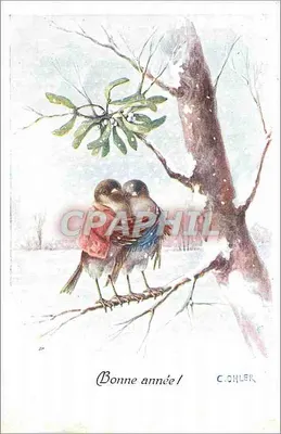 Dois pássaros em galho nevado — Mistletoe — C. OHLER