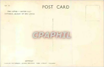 Lotus — Nenuphar — Kwiata Narodowy Sri Lanki — Ceylon Pictorials, Hemas Building, York Street, Colombo — Rewers