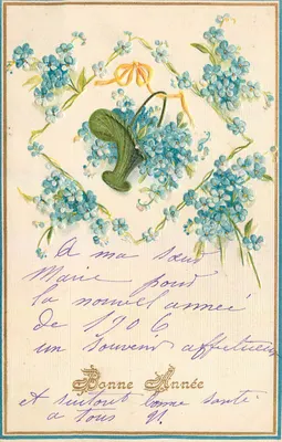 Arranjo de flores azuis — Boa Ano Novo 1906