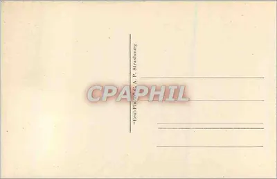 Widok z Mont Boron — Nice — wydawca C.A.P. n°354 — Rewers