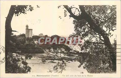 Noirmoutier (Vendée) — Um lindo canto do bosque de La Chaize — Mozda, n°213