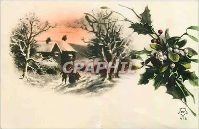 Cena invernal com cabana nevada — CP 975, editor CP