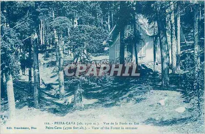 Peira-Cava (alt. 1500 m.) — Vista da Floresta no Verão — Edit. Braeckmans, Nice, n° 112