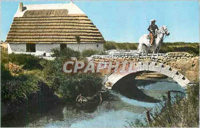 Ponte na Camargue — Camargue (B. de Rh.) — Edições ROHFRITSCH, Nîmes