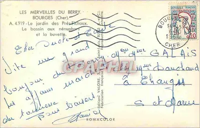 Cudowności Berry — basen z neniepuchami i kawiarnia — Wydawnictwo Valoire — Rewers