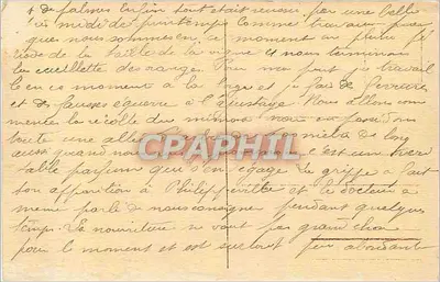 Kobieta maurska — Kolekcja Idealna P. S. — n° 374 — Rewers