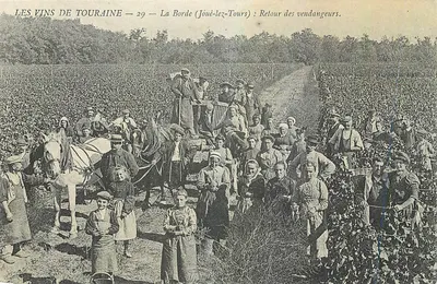 La Borde (Joué-le-Tours) — Retorno dos colhedores — Os Vinos de Touraine — n°29
