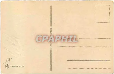Buquê de ciclamenos em um cesto — Aniversário — Charme 120/3 — Verso