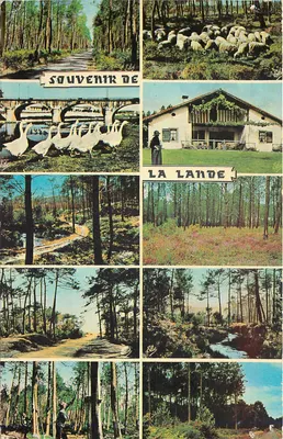 A Lande — Lembrete de A Lande — Editora Elle, n° P 961