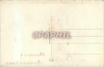 Kwiaty i piasecznik — Urodziny — M. D. Paris — Rewers
