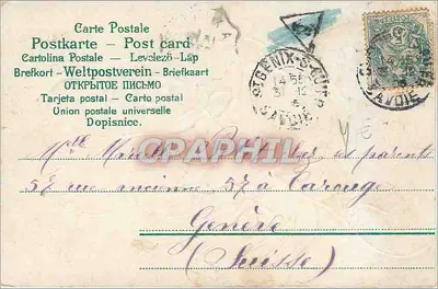 Fleurs blanches sur feuille verte — éditeur Anni Versaire — Verso