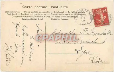 Jelen w lesie — fotogravura — W. Hayes, Pink & A.B. Fec. — Rewers