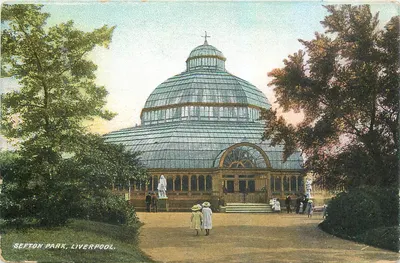 Serres de Sefton Park — Liverpool — Lewis's Series