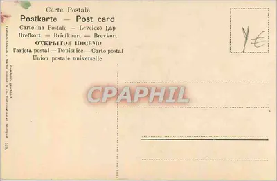 Ramal de flores rosas — ilustração botânica — Stuttgart 1922 — Verso