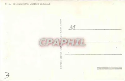 Colchique — N° 16 — Éditions Oddoux — Rewers