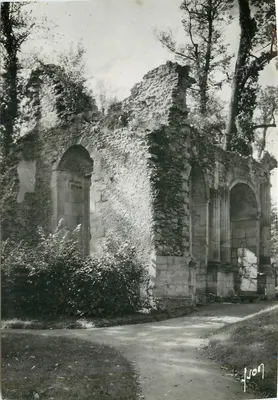 Coulommiers (S.-et-M.) — O parque das Capucinas. Ruínas do antigo domínio — Les Éditions d'Art, Rue Magel, 4111