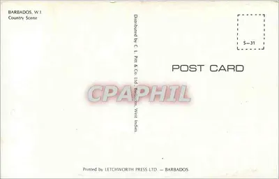 Paisagem rural — palmeiras e estrada — editor C. L. Pitt & Co. Ltd., Barbados — Verso