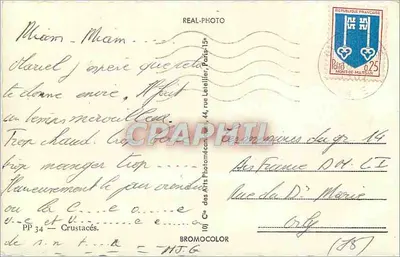 Krustace — Kąt — Ciecz Artyści Fotomechaniczni — Rewers
