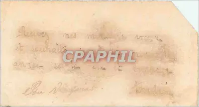 Cani e pulcino — Buon Anno — Cartolina illustrata — Verso