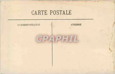 La Napoule — Widok przez sosny — LL — Rewers