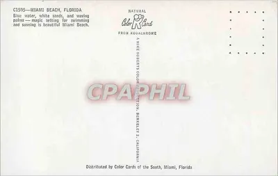Miami Beach, Florida — animowana plaża z palmami — Mike Roberts Color Card n° C1595 — Rewers