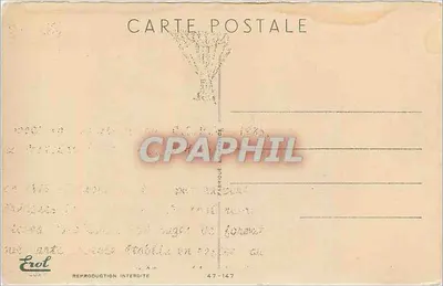 Arranjo de rosas — em um vaso dourado — Erol Lux, n° 47-147 — Verso