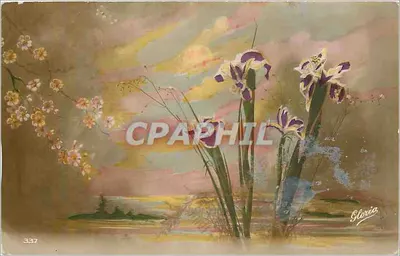 Íris e cerejeiras em flor — paisagem ao pôr do sol — Gloria, n° 337