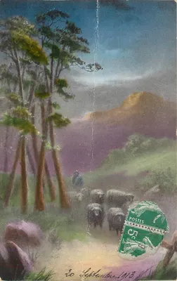 Paisagem rural com pastor e ovelhas — editor não visível — número de série não visível
