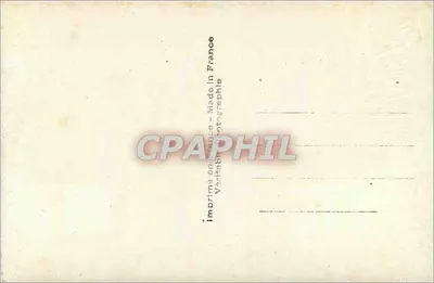 Kwiaty chryzantem — Szczęśliwe święta — ARS 7923 — Rewers