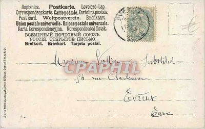 Flores azuis e samambaias — ilustração de M. Billings — série 1081, Lieblingsalbum — Verso