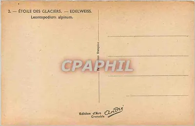 Estrela dos glaciares — Edelweiss — Leontopodium alpinum — Edição de Arte Grenoble — Verso