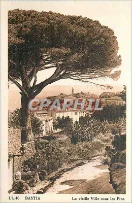 Bastia — A Velha Cidade sob os Pinheiros — LL.40 — Cie des Arts Photographiques, Paris